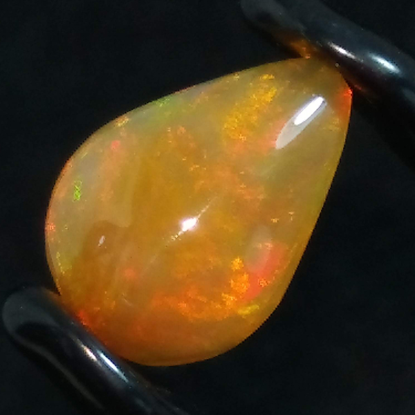 OP00116