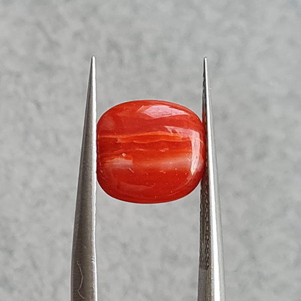 Красный коралл 2.43ct