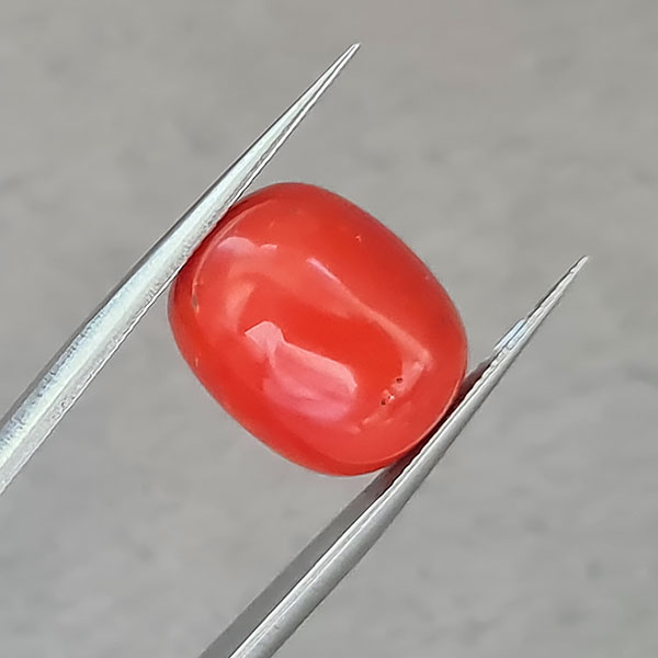 Красный коралл 10.30ct